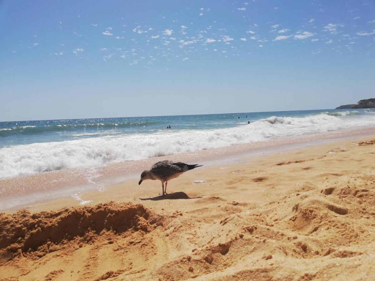 Appartement Do Algarve
